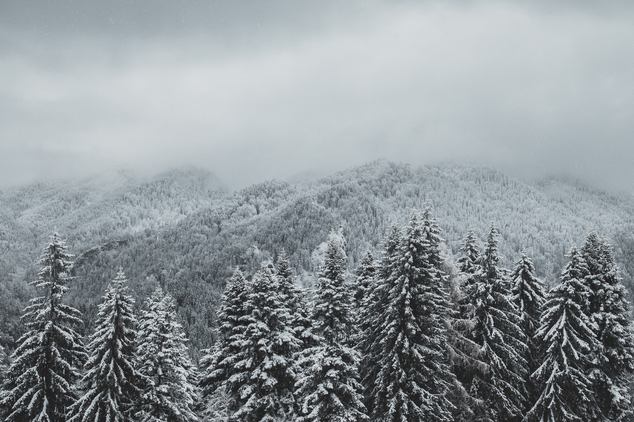 Photo by Catalin Manea: https://www.pexels.com/photo/snow-covered-pine-trees-and-mountains-4504068/