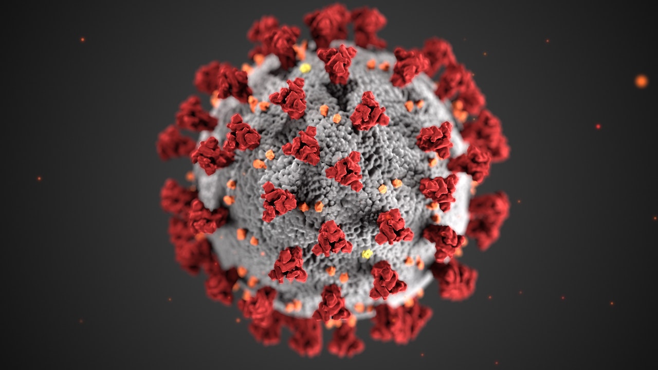 Photo by CDC: https://www.pexels.com/photo/structure-of-a-coronavirus-3993212/