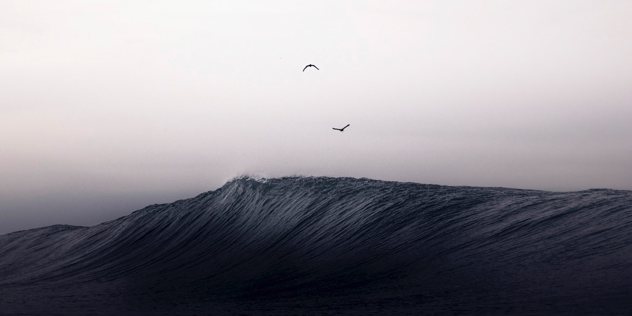 Photo by Nayla Charo: https://www.pexels.com/photo/bird-flying-over-the-sea-wave-4799392/