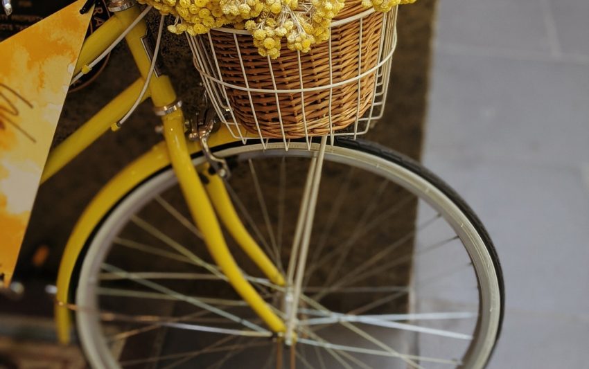Photo by Valeriia Miller: https://www.pexels.com/photo/yellow-flowers-in-brown-woven-basket-on-bicycle-3599576/